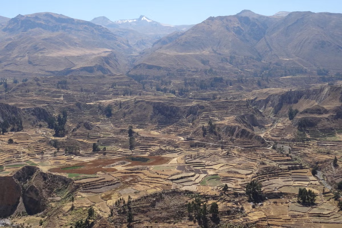 canon-del-colca